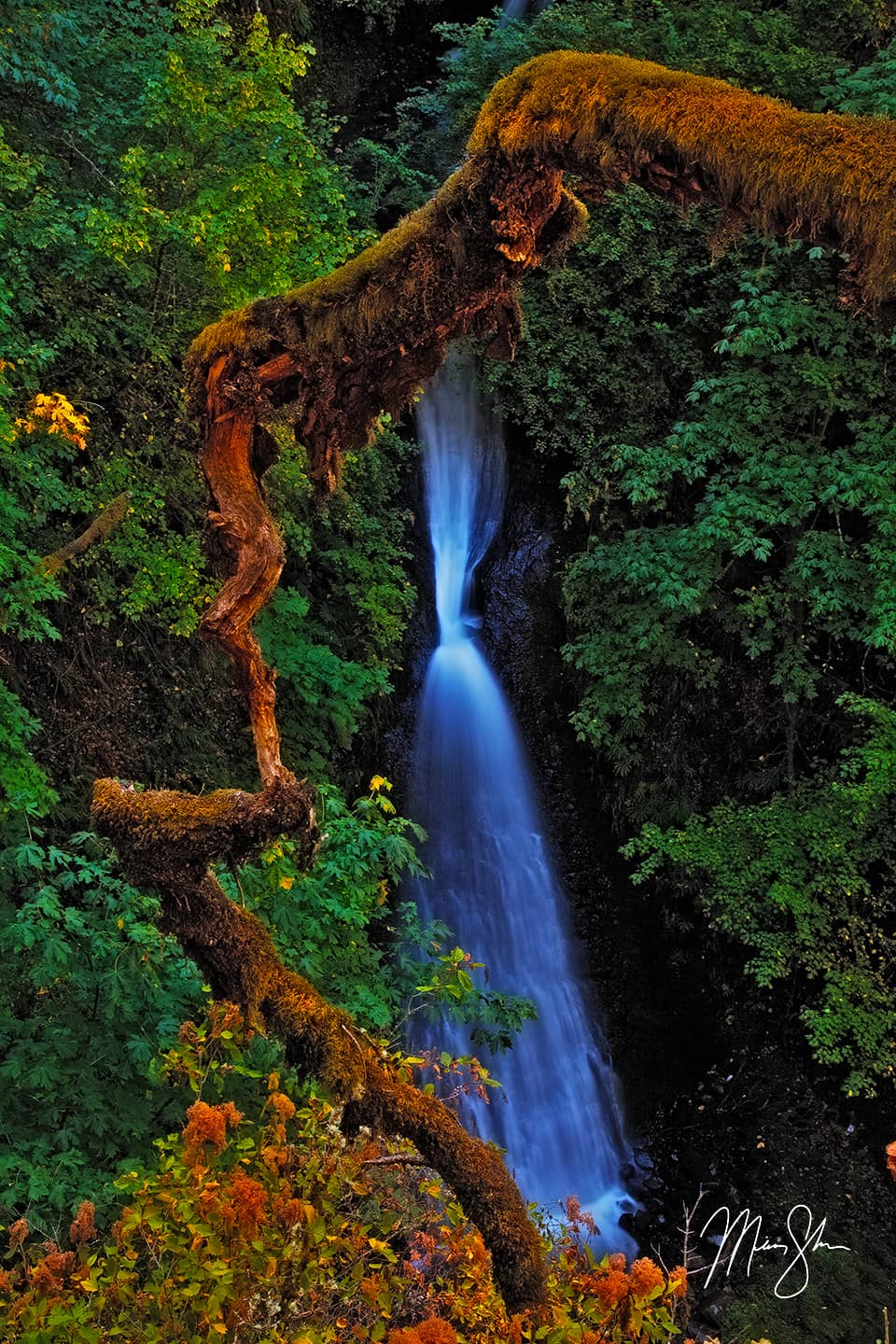 Shepperds Dell Plunge - Shepperds Dell, Columbia River Gorge, Oregon, USA