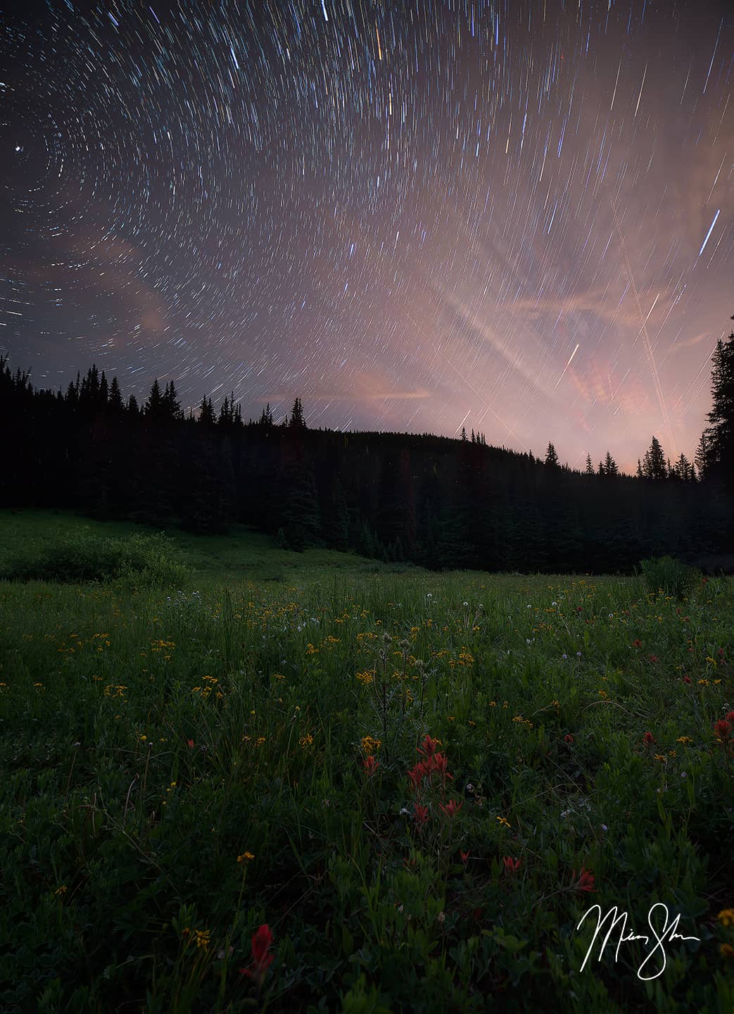 Shrine Pass Wildflower Star Trails - Shrine Pass, Colorado