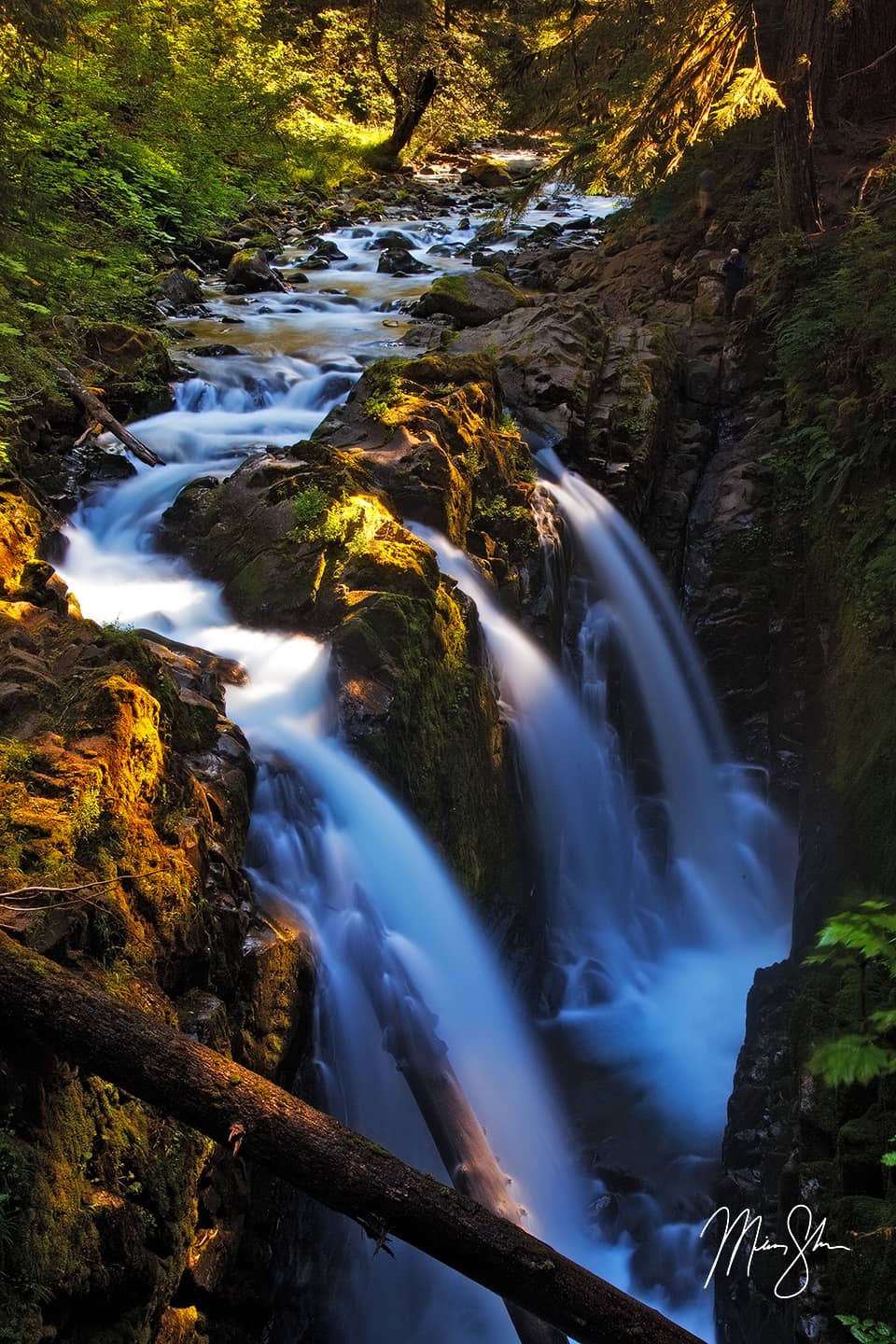 Sol Duc Falls #2 - Sol Duc Falls, Olympic National Park, Washington, USA