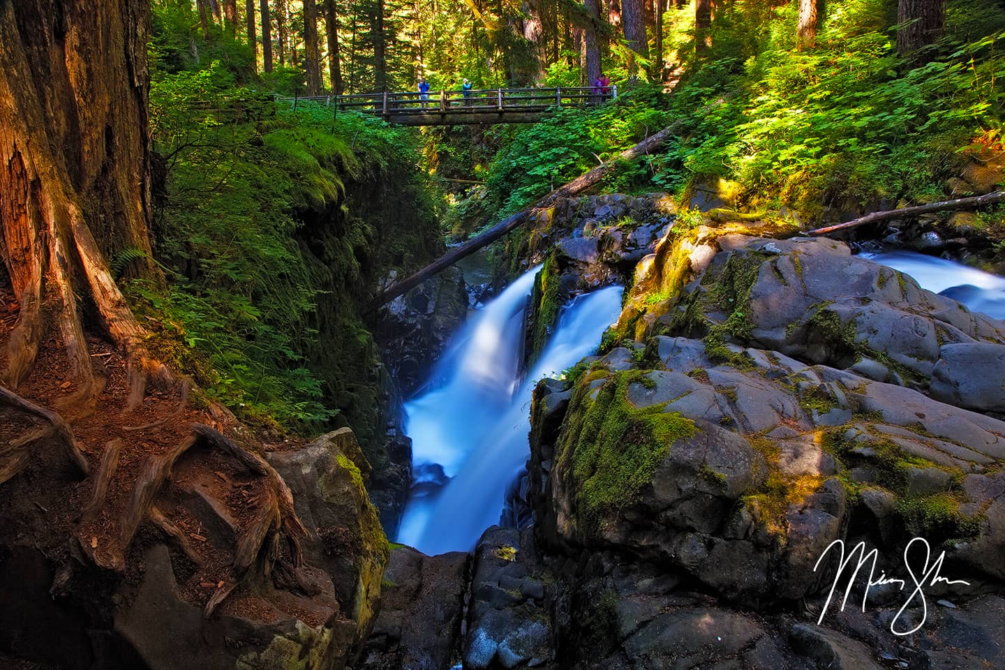 Sol Duc Falls - Sol Duc Falls, Olympic National Park, Washington, USA