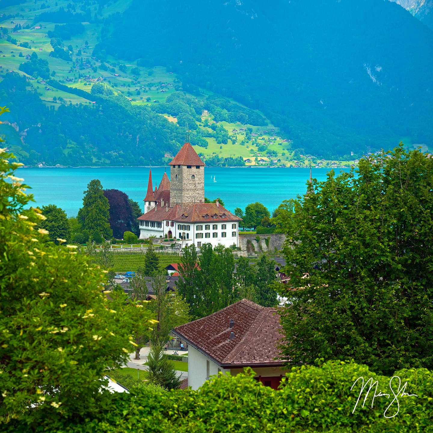 Spiez Castle - Spiez, Switzerland