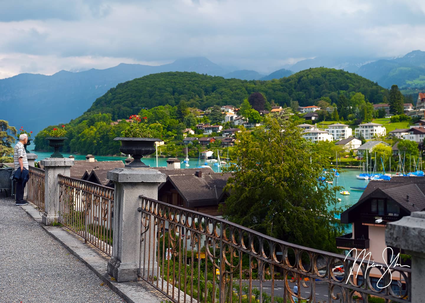 Spiez Harbor View