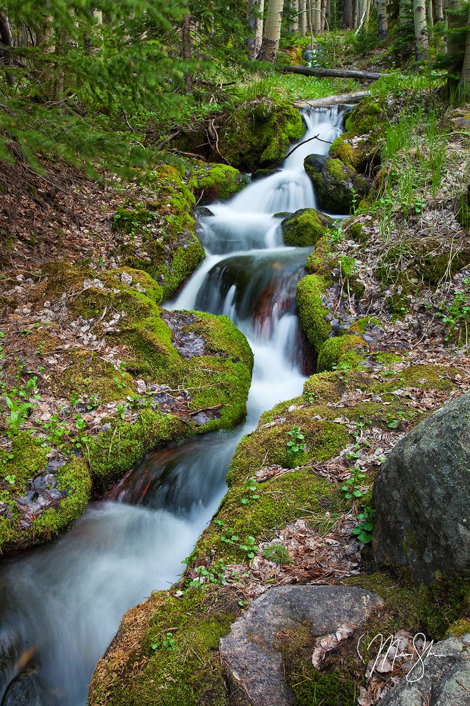 Springtime At Boulder Brook - Boulder Brook, Estes Park, Rocky Mountain National Park, Colorado