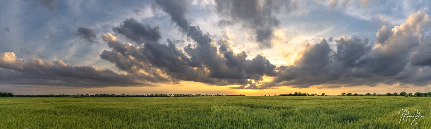 Springtime in Kansas - South Central Kansas