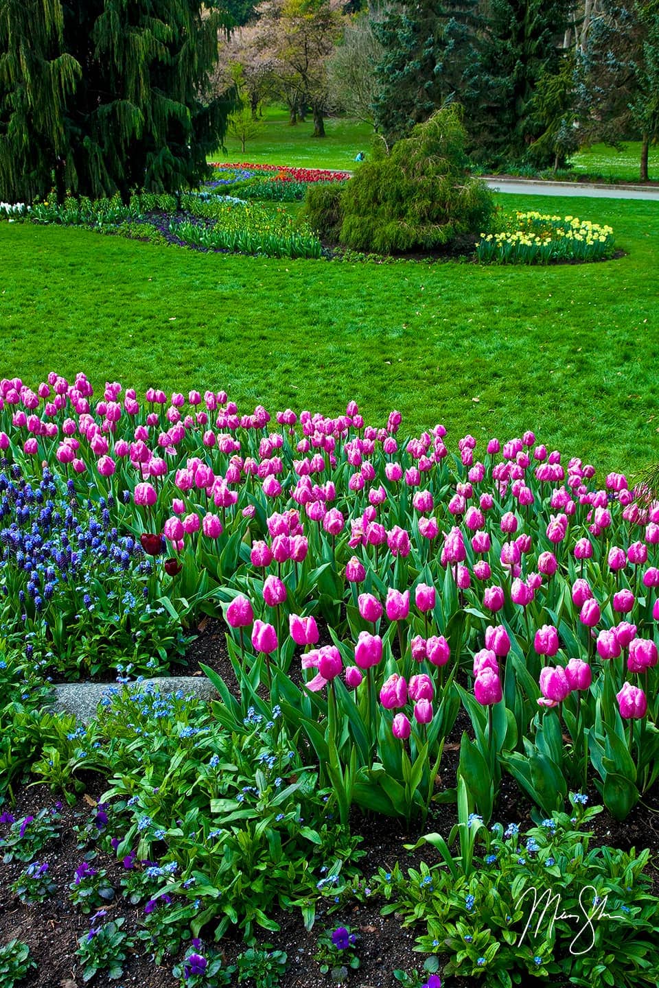 Stanley Park Gardens - Stanley Park, Vancouver, British Columbia, Canada