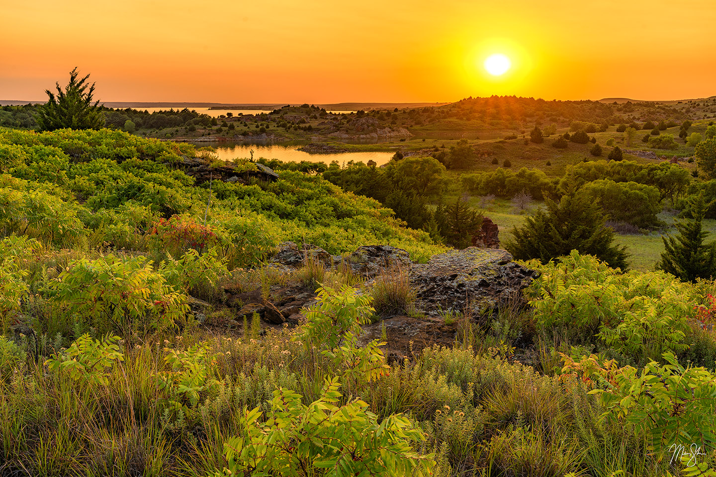 Summer at Wilson Lake - Wilson Lake, Kansas