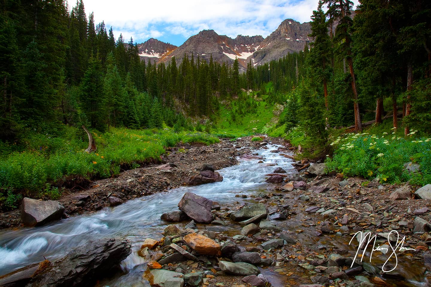 Summer In The San Juans - Sneffels Wilderness, Ridgway, Colorado