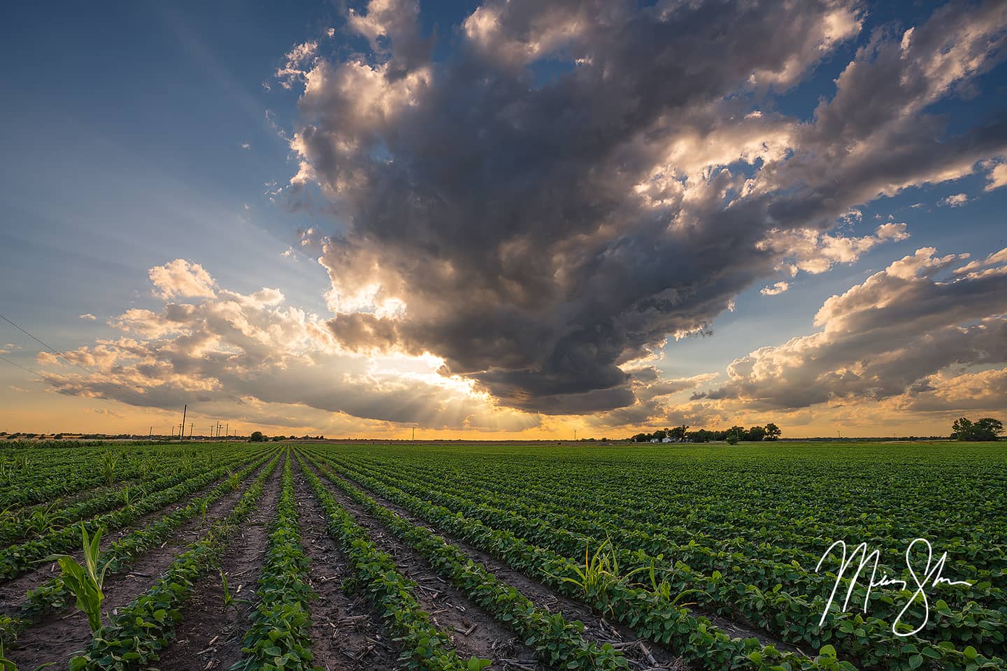 Summer Sunrays Over Kansas