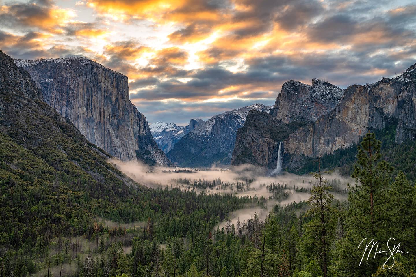 Fog drifts in and out of the trees below Bridalviel Falls and the icons of Yosemite Valley