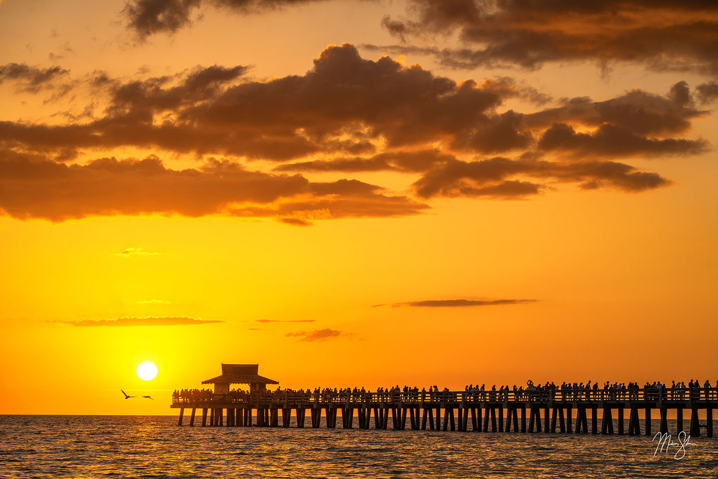 The sun sets behind Naples Pier.