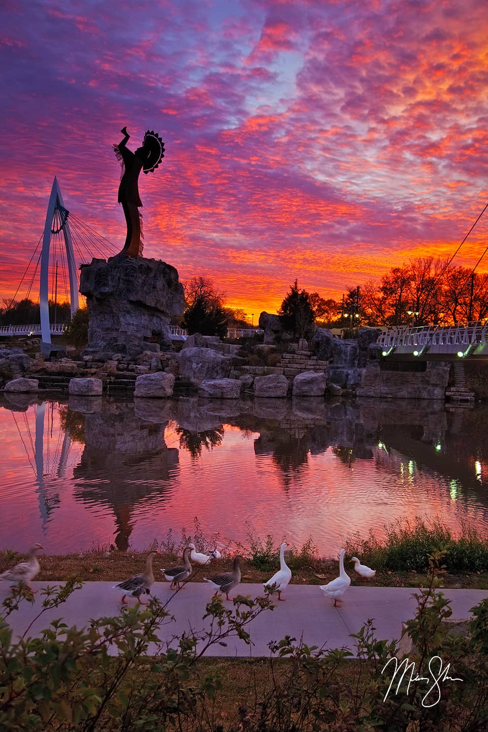 Geese at the Keeper of the Plains