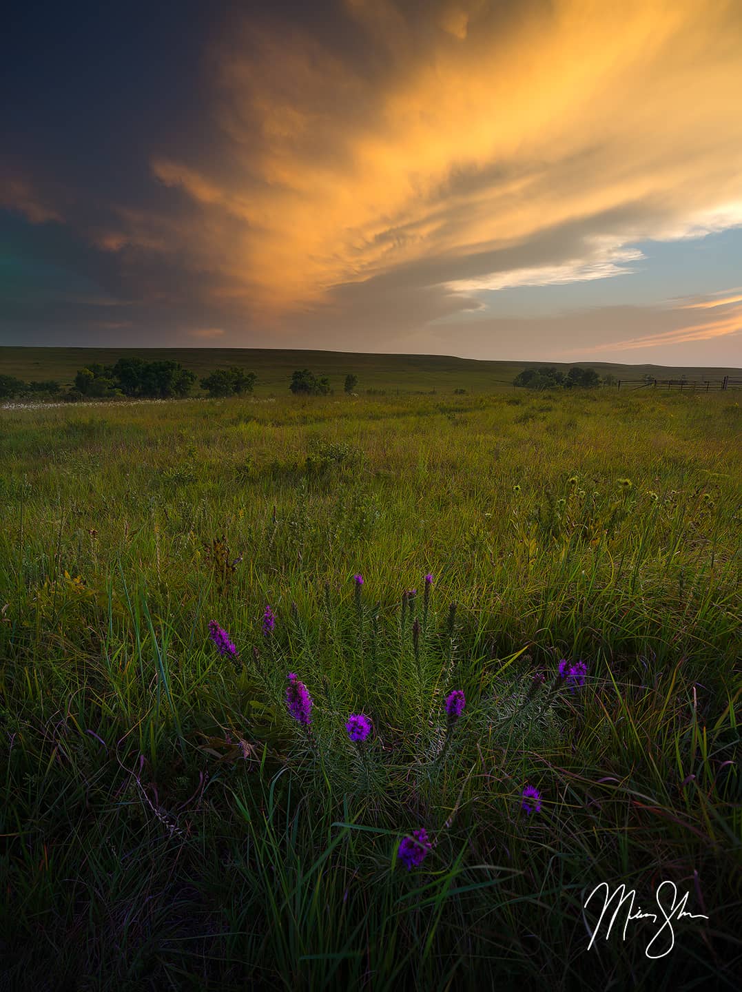 Tallgrass Prairie Summer Sunset - Tallgrass Prairie National Preserve, Flint Hills, Kansas