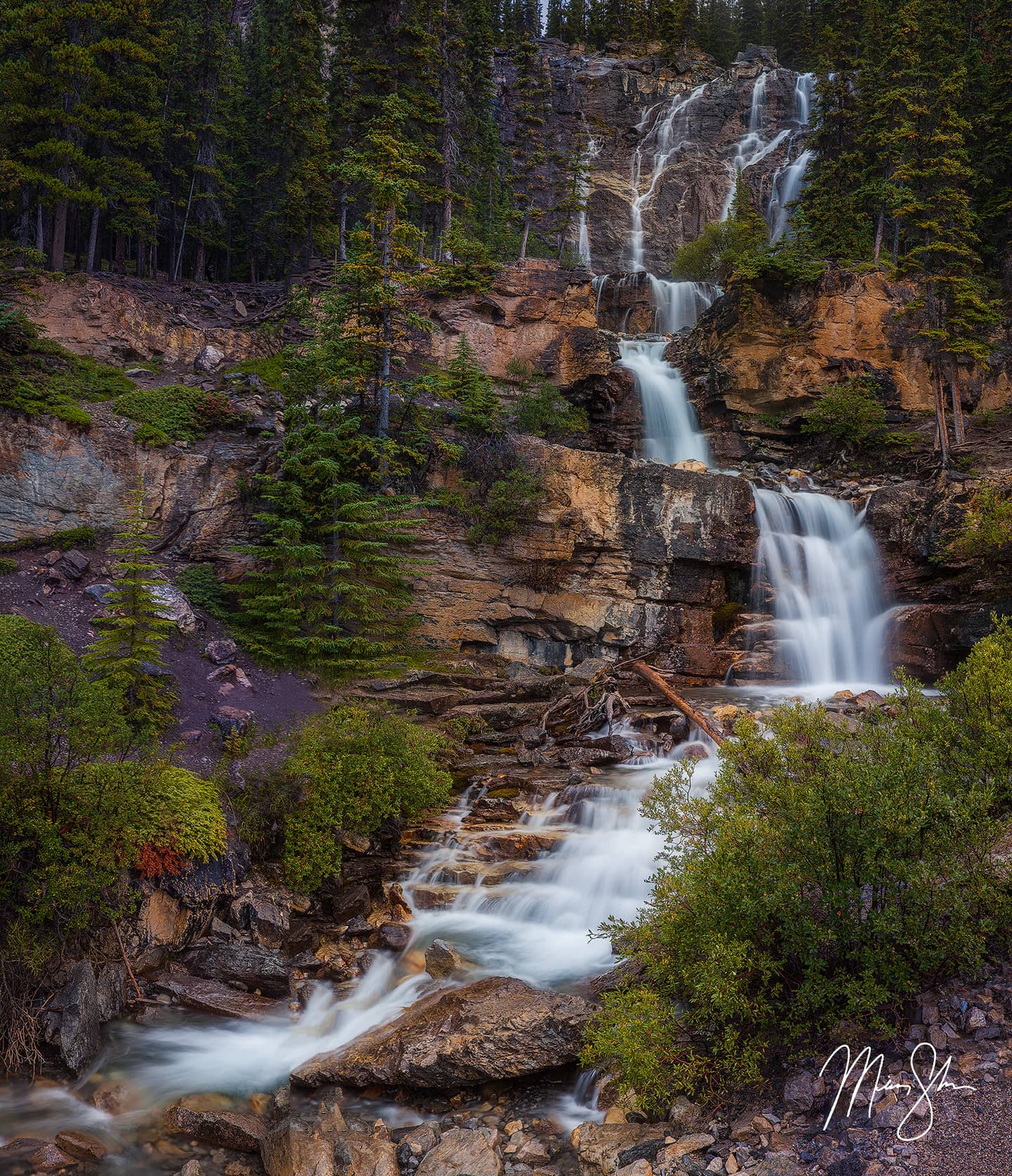 Tangle Creek Falls - Tangle Creek Falls, Icefields Parkway, Jasper National Park, Alberta, Canada