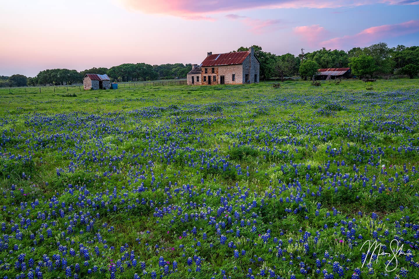 The Bluebonnet House