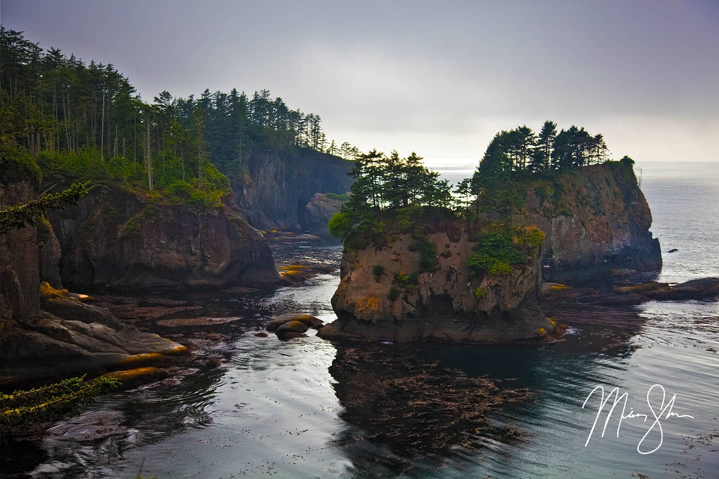 The Coast of Cape Flattery - Cape Flattery, Olympic Peninsula, Washington, USA