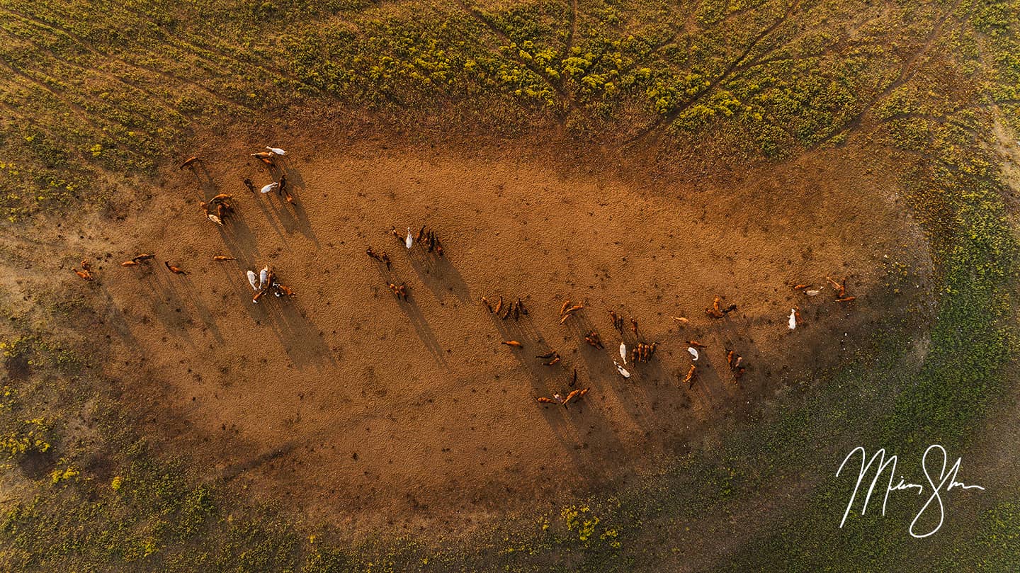 The Gathering - Teter Rock, Flint Hills, Kansas