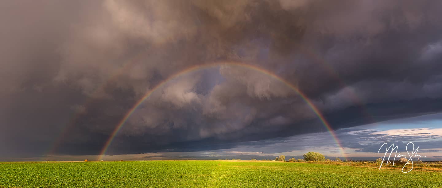 The Promise - Eastern Colorado