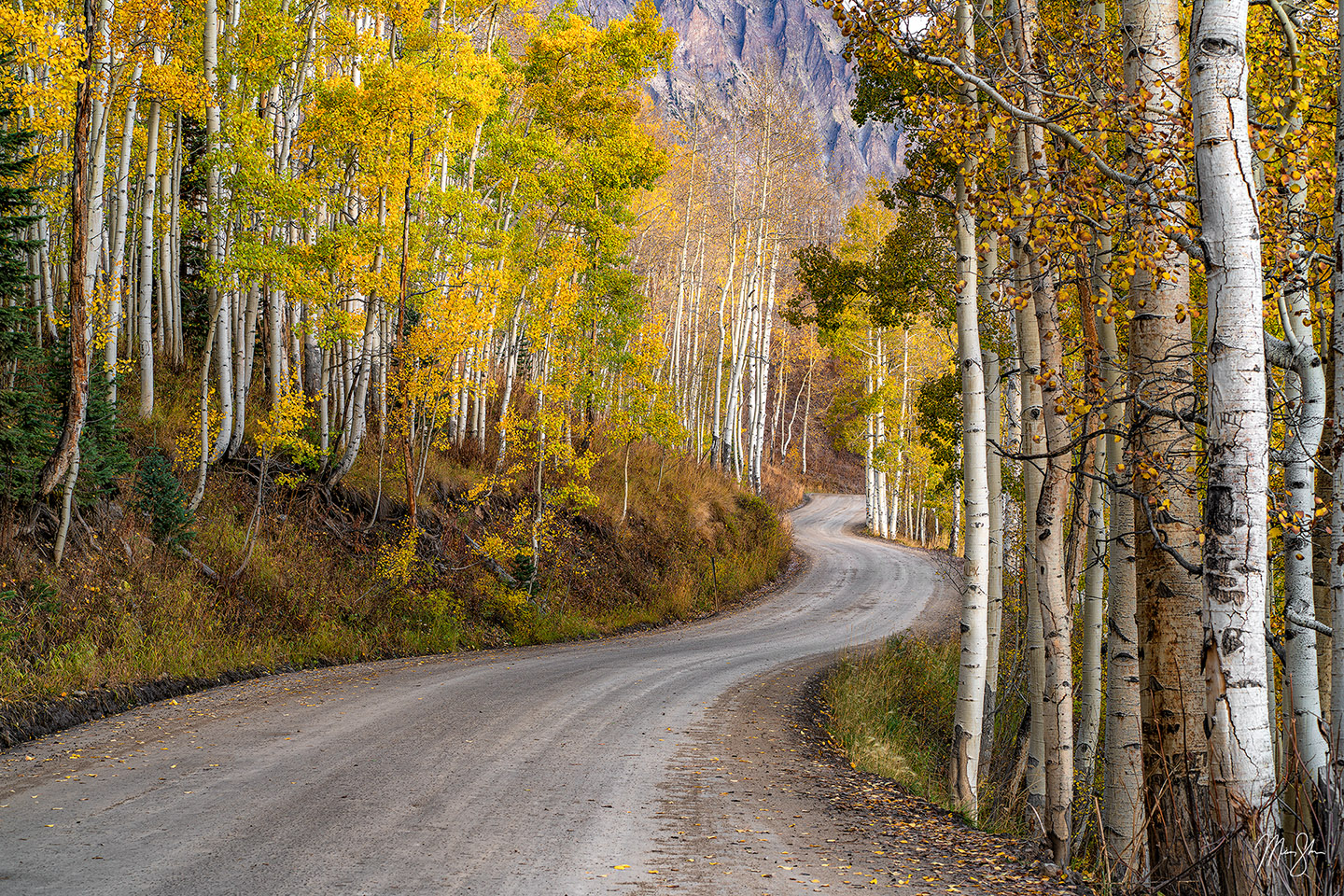 The Road to Gothic - Crested Butte, Colorado