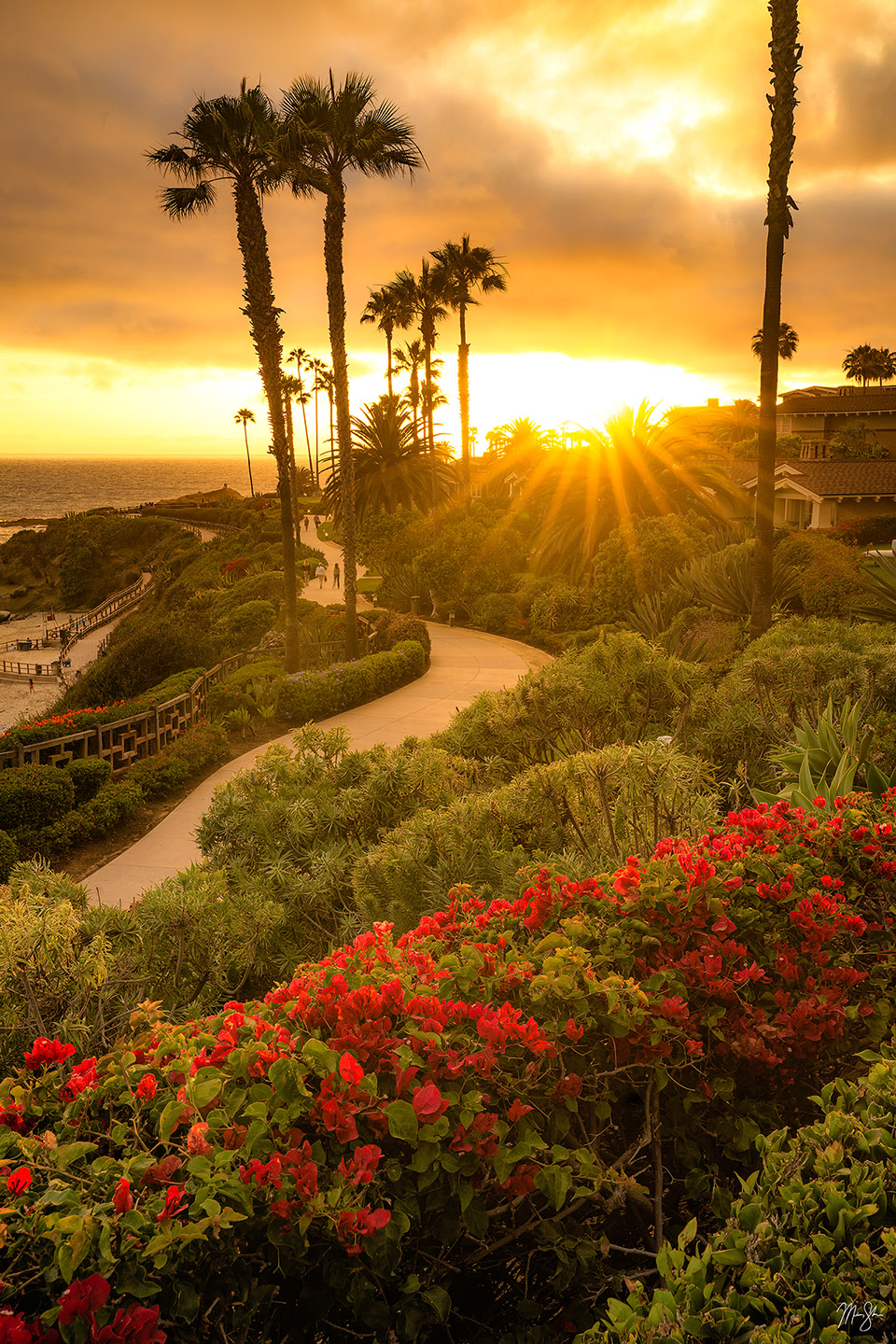 The Sunlit Path of Laguna Beach - Laguna Beach, California