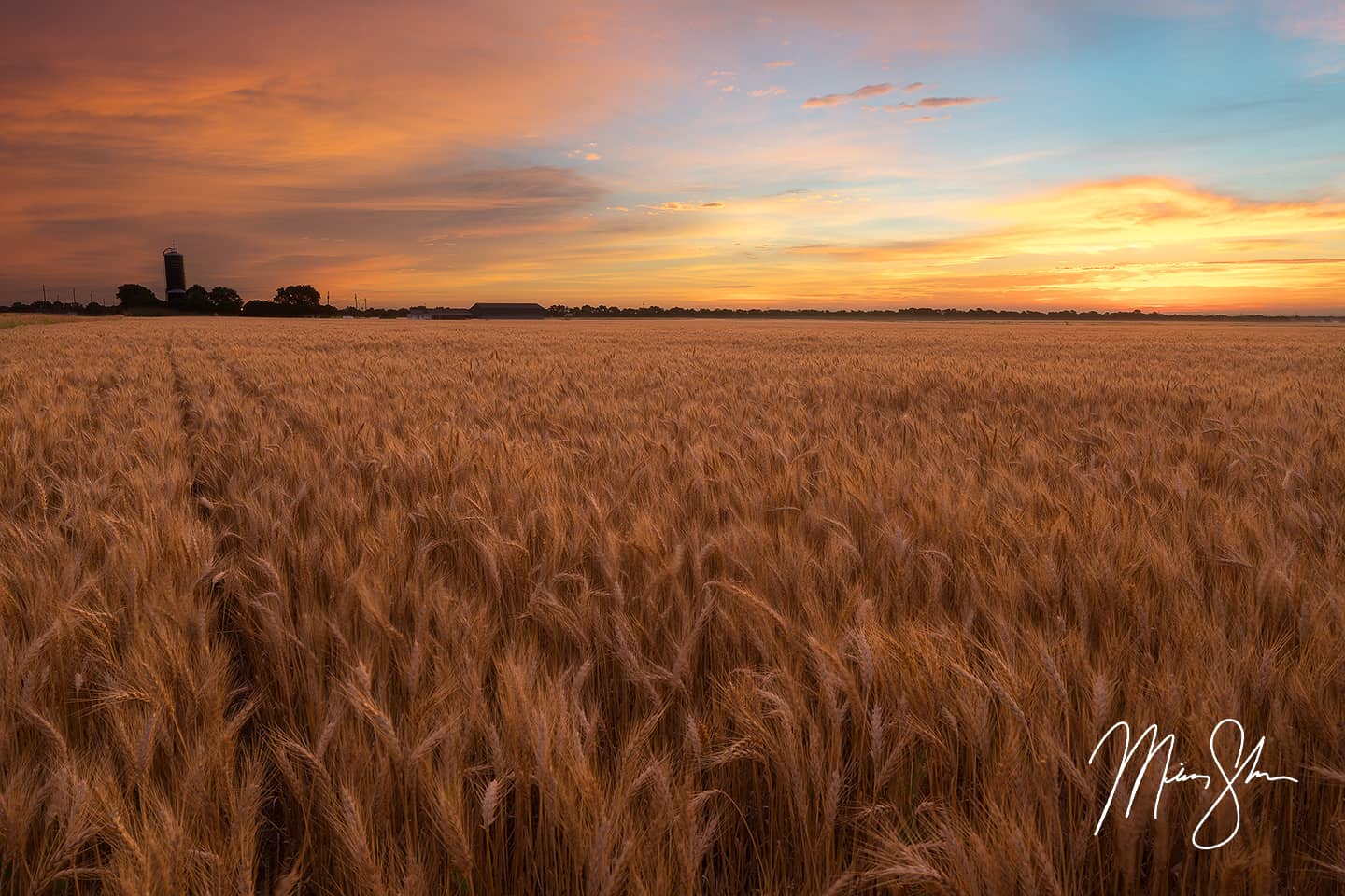 The Sunrise Before Harvest - Wichita, Kansas