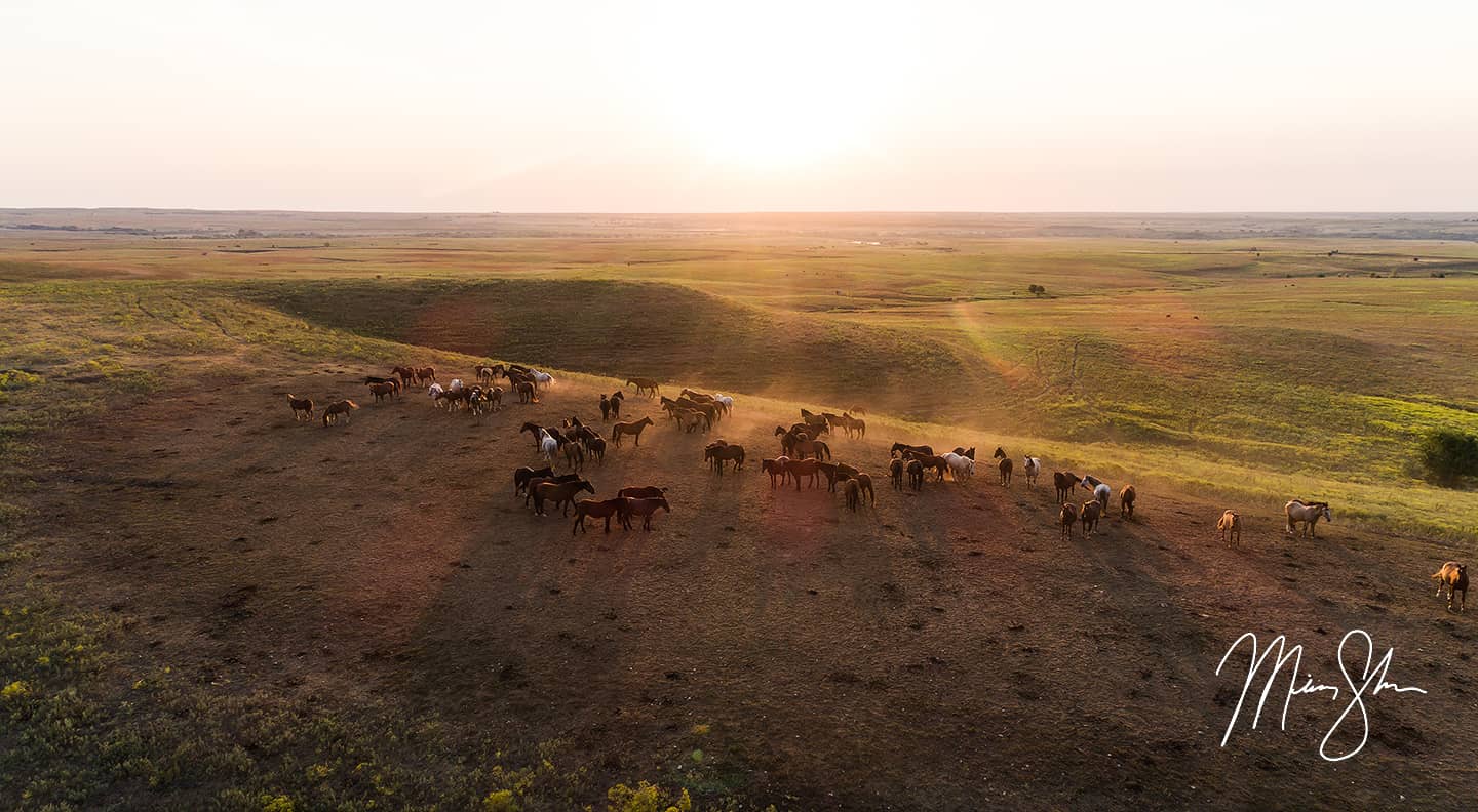 The Wild Horses of the Flint Hills - Teter Rock, Flint Hills, Kansas