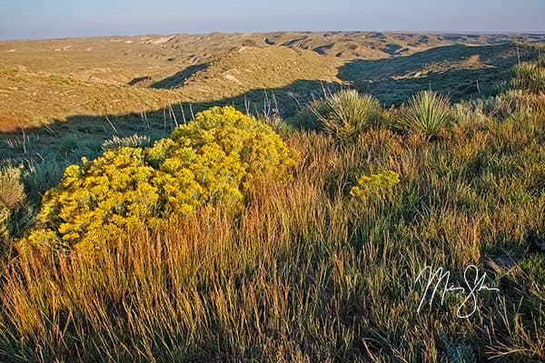 Arikaree Breaks Autumn Sunrise