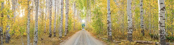 Aspen Alley Panorama