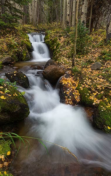 Aspen Gold at Boulder Brook