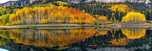 Aspen Reflections