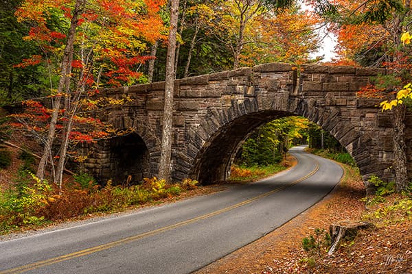 Autumn At Stanley Brook Bridge