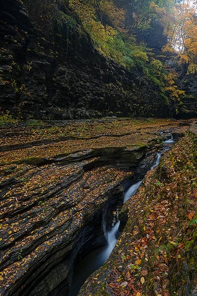 Autumn at the Narrows of Watkins Glen