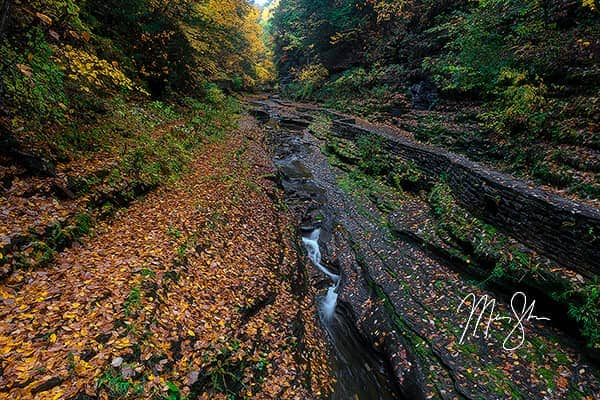 Autumn at Watkins Glen State Park