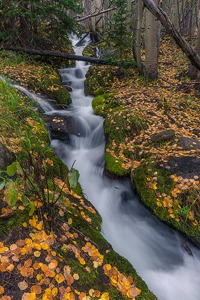 Autumn Cascades at the Boulder Brook