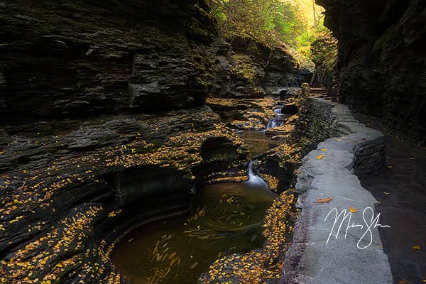 Autumn in Spiral Gorge at Watkins Glen