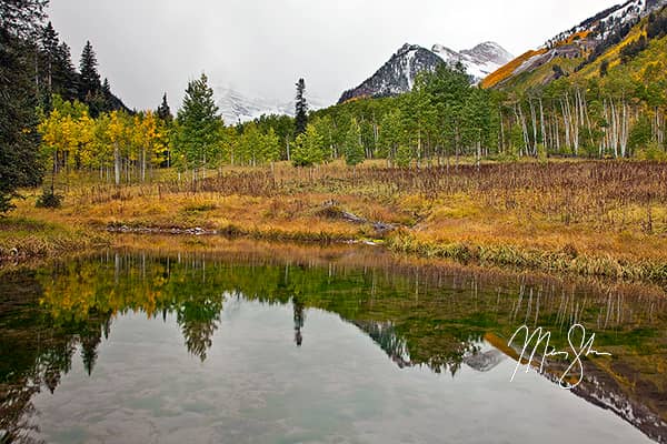 Autumn Reflections