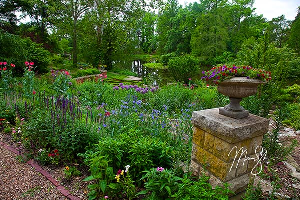 Bartlett Arboretum Flowers