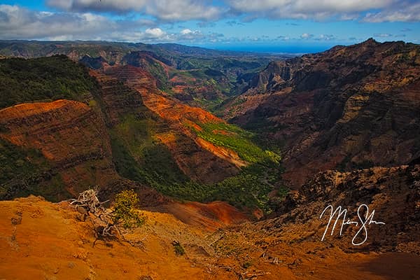 Beautiful Waimea Canyon