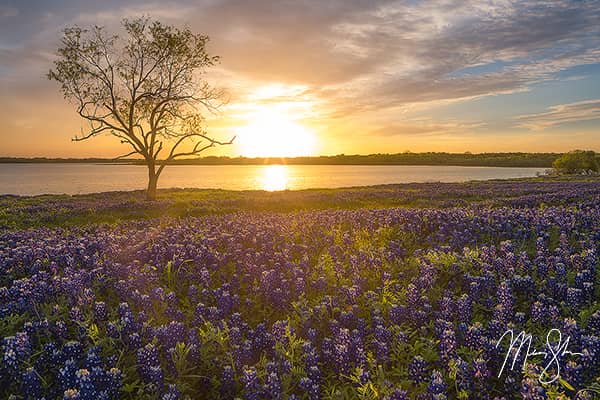 Great Plains & Prairies Photography