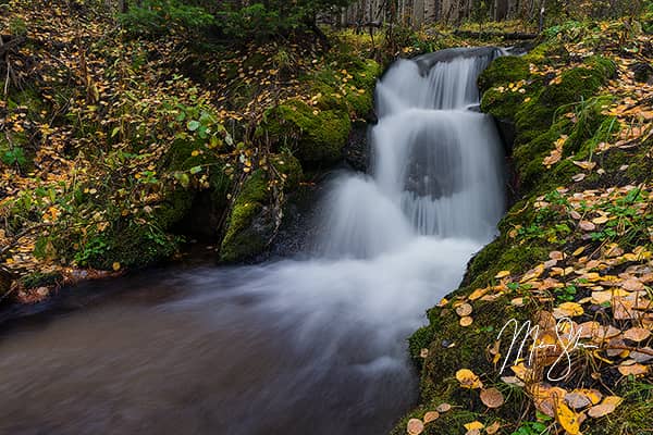 Boulder Brook Autumn Coating