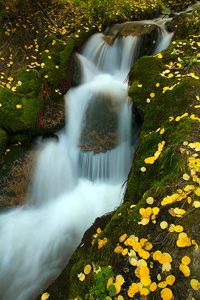 Boulder Brook Fall Colors