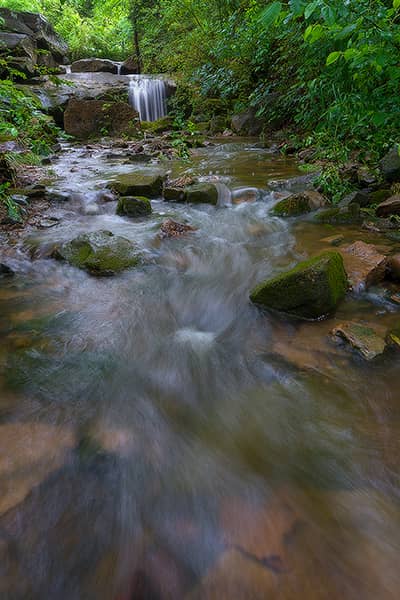 Cascades at the Hollow