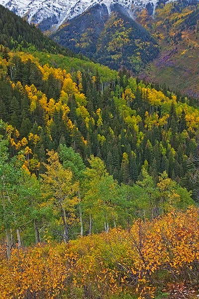 Castle Creek Road Autumn View