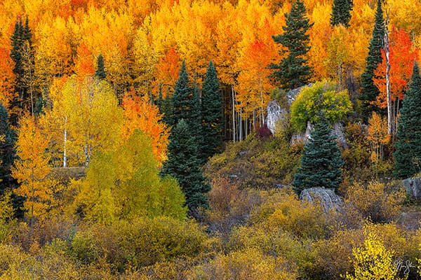 Colorado in the Fall