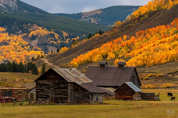 Colorado Mountain Homestead in Gold