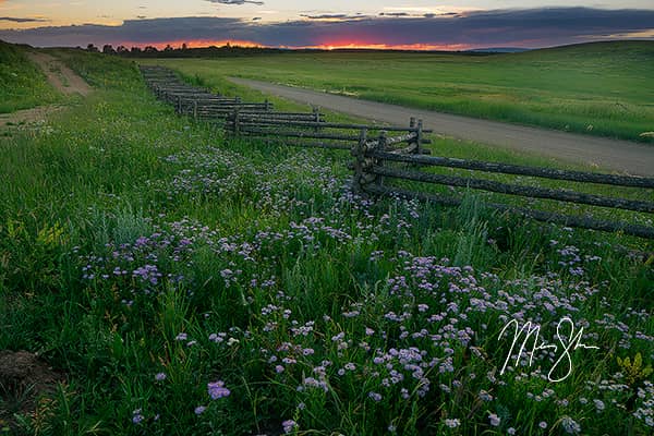 Colorado Summer Sunset