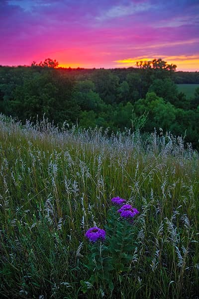 Colorful Kansas Sunset