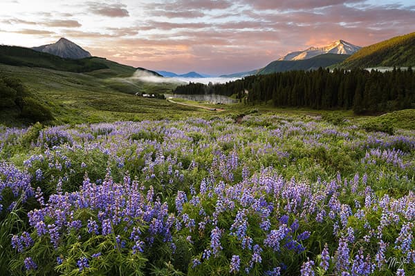 Crested Butte: Wildflowers, Mountains and Fall Colors