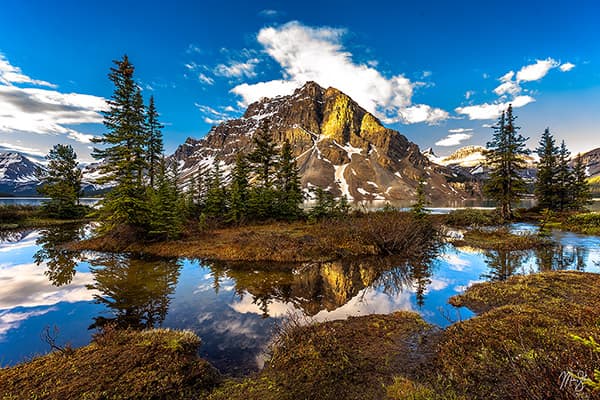 Crowfoot Mountain Majesty