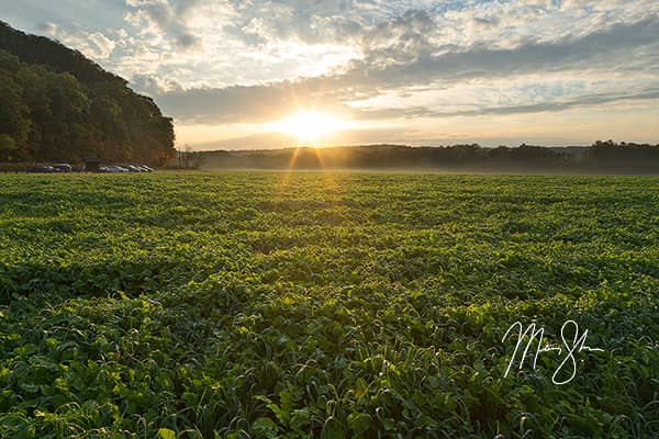 Cuyahoga Valley Sunrise