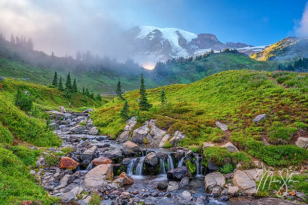 Dreaming of Rainier